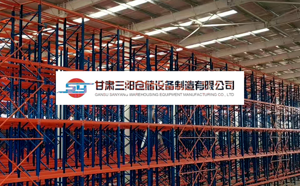 定西两向穿梭机立库
